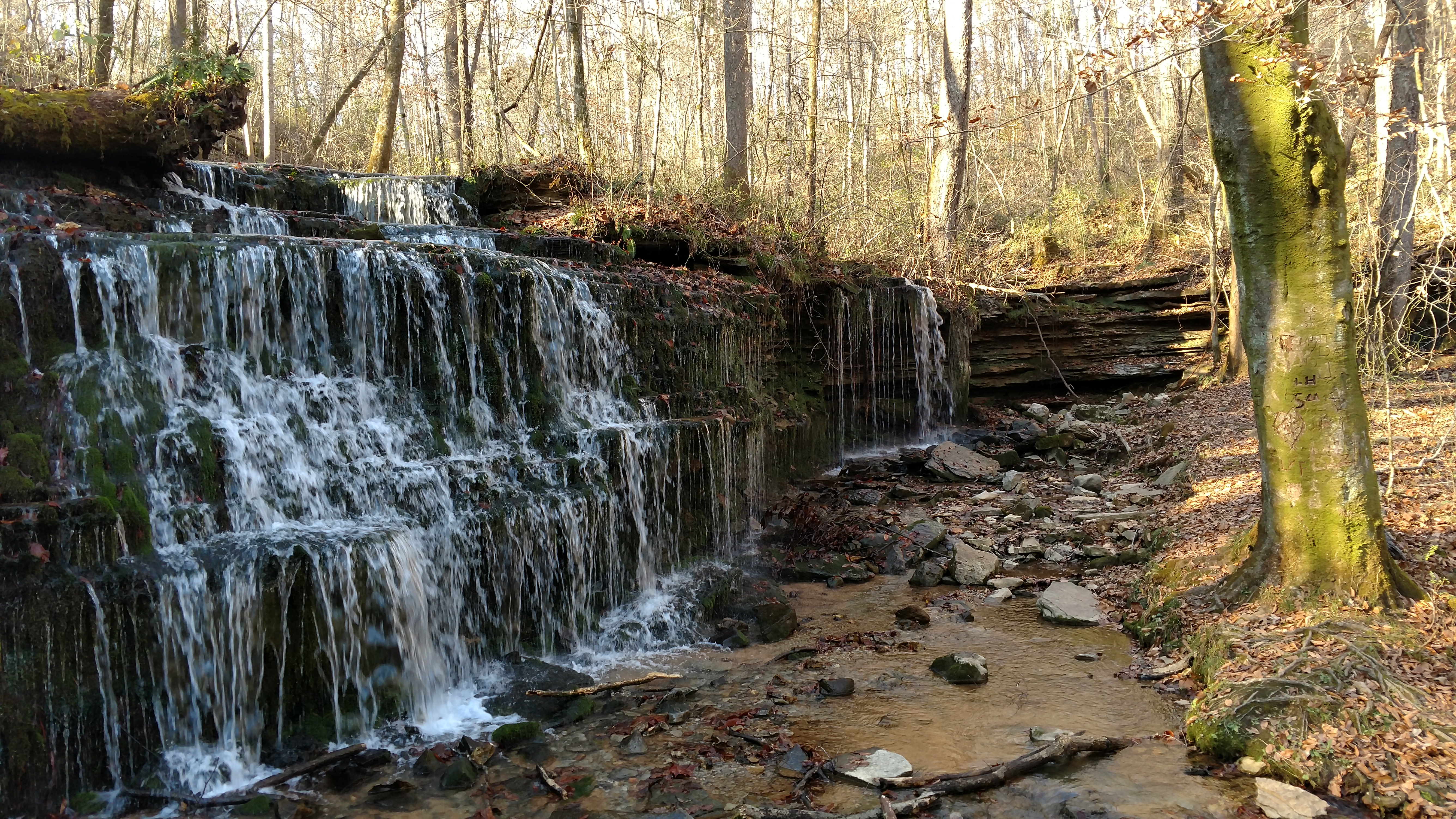 City Lake Natural Area, Cookeville, TN - Our Next Chapter