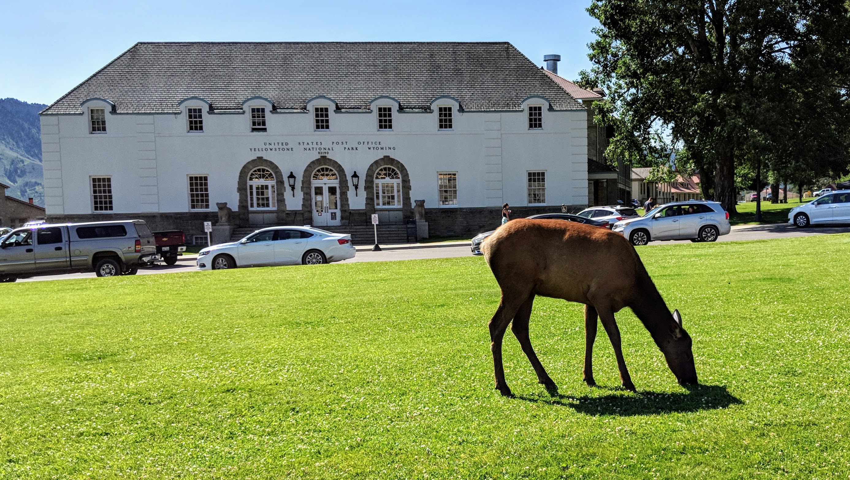 20180705 Post Office Elk Our Next Chapter