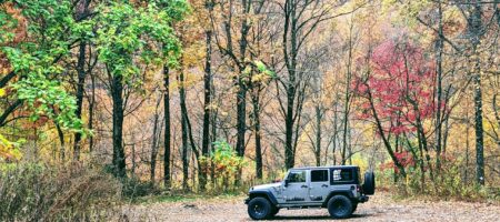 Fall 2022 in the Southeast