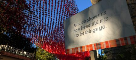 Fall 2025: Pumpkins, Snow, and the Tail of the Dragon